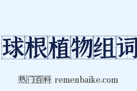 球根植物组词是什么意思的图片